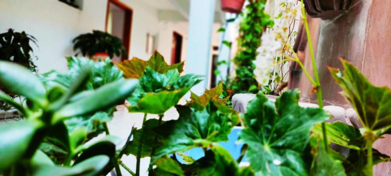 Hotel Posada Laura San Juan del Río Eksteriør billede