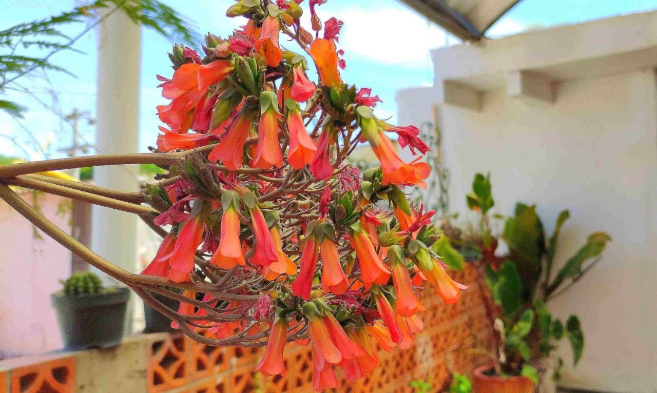 Hotel Posada Laura San Juan del Río Eksteriør billede